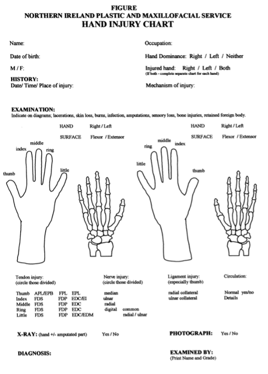 Example tool for assessing and evaluating hand injuries