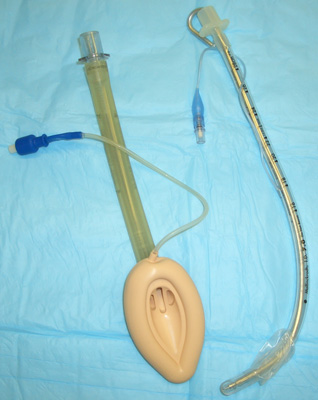 Figure of Laryngeal Mask Airway and an Endotracheal Tube