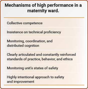 Mechanisms of high performance in a maternity ward.